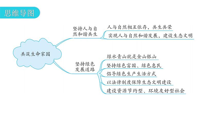 人教版道德与法治九年级上册第三单元第六课第二课时共筑生命家园教学课件04
