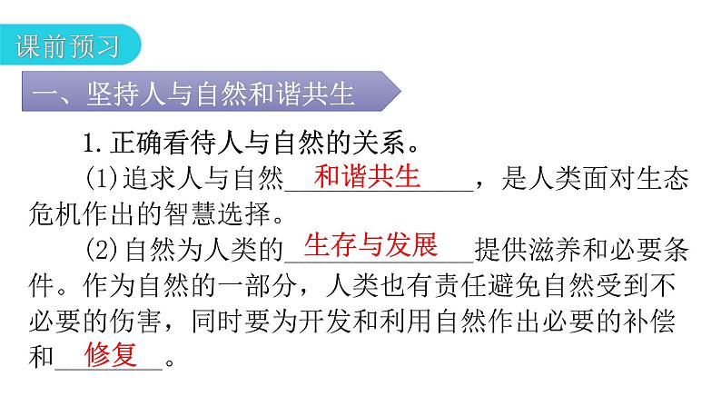 人教版道德与法治九年级上册第三单元第六课第二课时共筑生命家园教学课件05