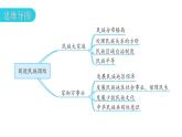 人教版道德与法治九年级上册第四单元第七课第一课时促进民族团结教学课件