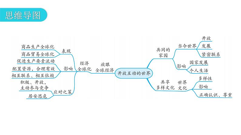 人教版道德与法治九年级下册第一单元第一课第一课时开放互动的世界教学课件04