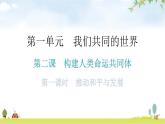人教版道德与法治九年级下册第一单元第二课第一课时推动和平与发展教学课件