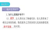 人教版道德与法治九年级下册第一单元第二课第一课时推动和平与发展教学课件