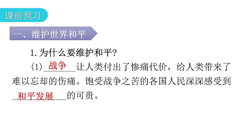 人教版道德与法治九年级下册第一单元第二课第一课时推动和平与发展教学课件第5页