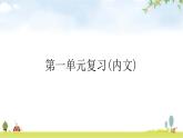 人教版道德與法治九年級下冊第一單元我們共同的世界復(fù)習(xí)教學(xué)課件