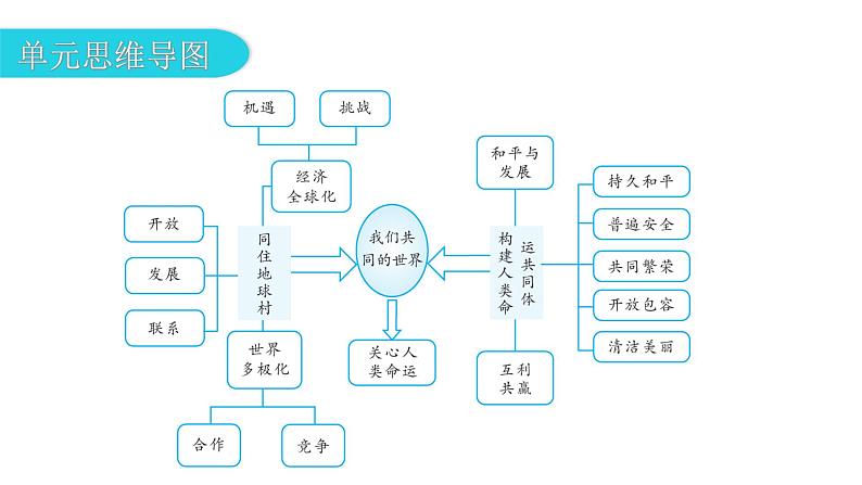 人教版道德与法治九年级下册第一单元我们共同的世界复习教学课件03