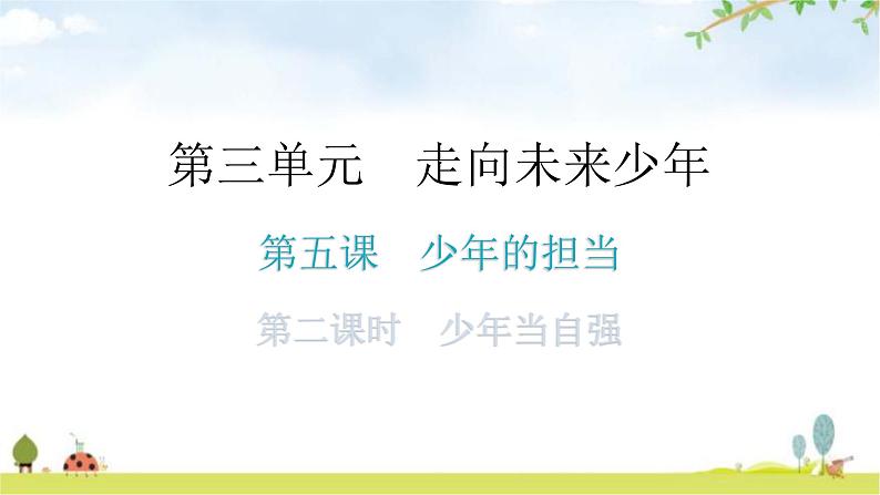 人教版道德与法治九年级下册第三单元第五课第二课时少年当自强教学课件01