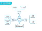 人教版道德与法治九年级下册第三单元走向未来少年复习教学课件