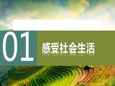 2023-2024学年八年级道德与法治上册 1.1 我与社会  课件