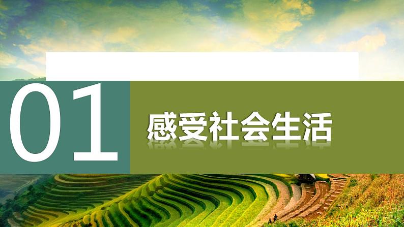 2023-2024学年八年级道德与法治上册 1.1 我与社会  课件第3页