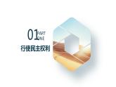 3.2 参与民主生活+课件 2023-2024学年部编版道德与法治九年级上册