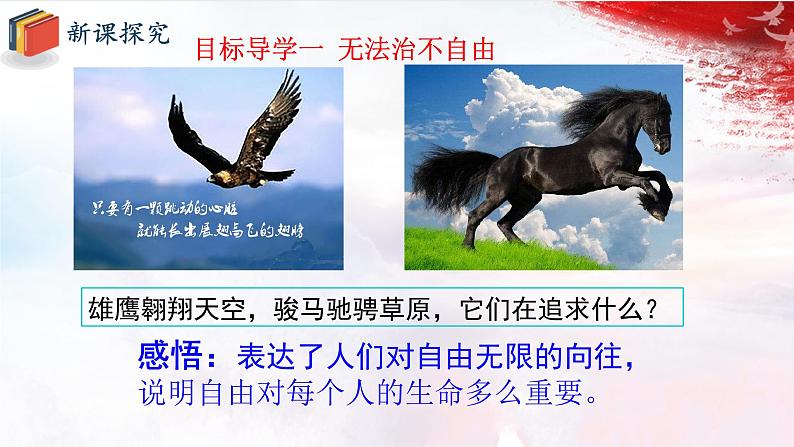 人教版道德与法治八下7.1《自由平等的真谛》课件03