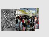 3.1 维护秩序 课件 2023-2024学年部编版道德与法治八年级上册