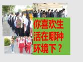 3.1 维护秩序 课件 2023-2024学年部编版道德与法治八年级上册
