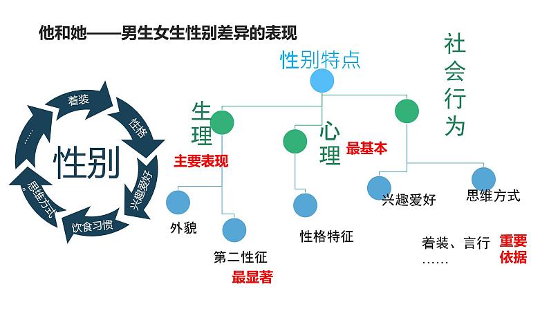 2.1男生女生课件PPT第6页