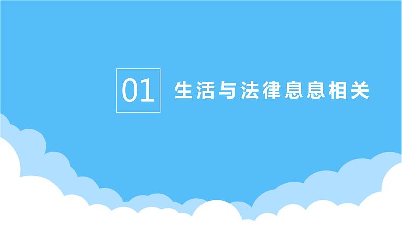 9.1生活需要法律课件PPT04