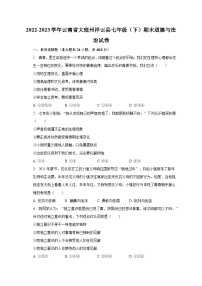 2022-2023学年云南省大理州祥云县七年级（下）期末道德与法治试卷(含解析）