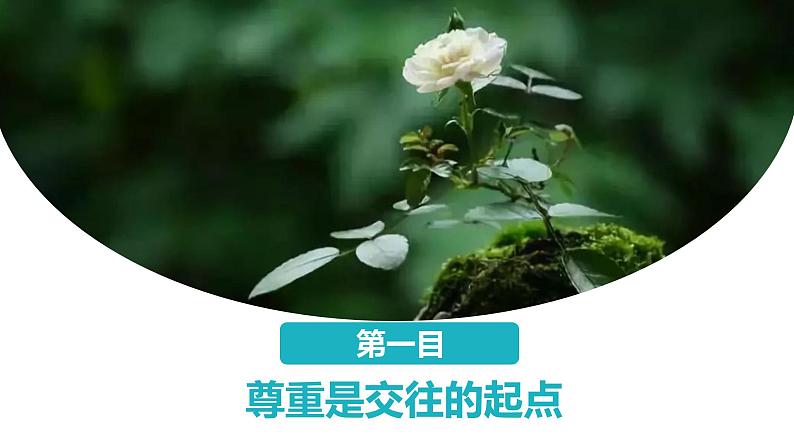 部编版2023-2024学年八年级道德与法治上册 4.1尊重他人 课件05
