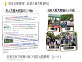 3.1 维护秩序 课件 2023-2024学年八年级道德与法治上册