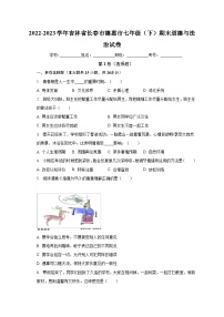 吉林省长春市德惠市2022-2023学年七年级下学期期末道德与法治试卷