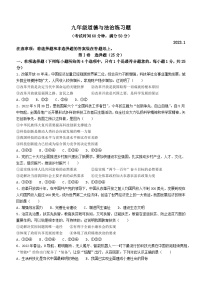 山东省泰安市岱岳区2022-2023学年(五四学制)九年级上学期期末道德与法治试题