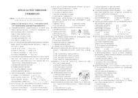 河南省洛阳市2020_2021学年七年级上学期期末考试道德与法治试卷