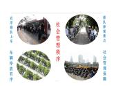 3.1 维护秩序 课件   2023-2024学年部编版道德与法治八年级上册