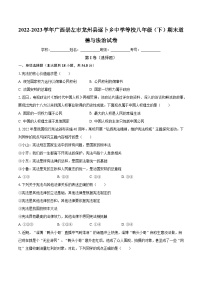广西崇左市龙州县逐卜乡中学等校2022-2023学年八年级下学期期末道德与法治试卷