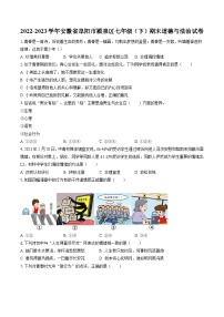 2022-2023学年安徽省阜阳市颍泉区七年级（下）期末道德与法治试卷(含答案解析)