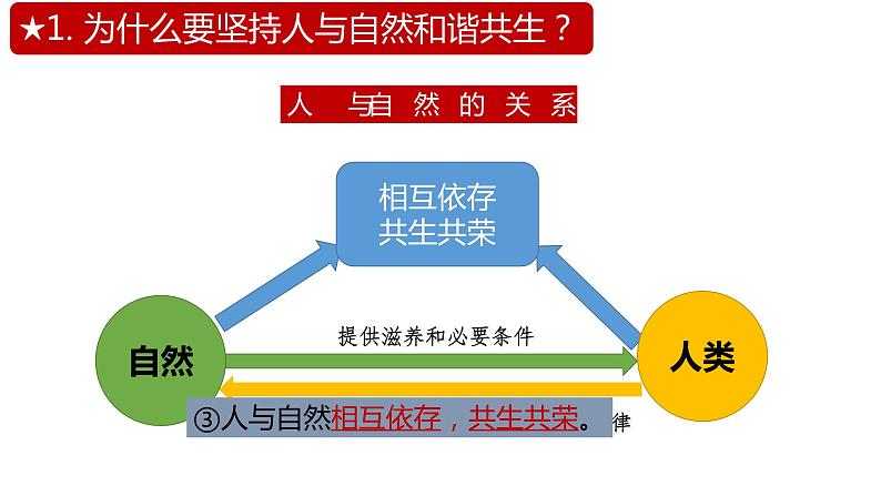 6.2共筑生命家园课件07