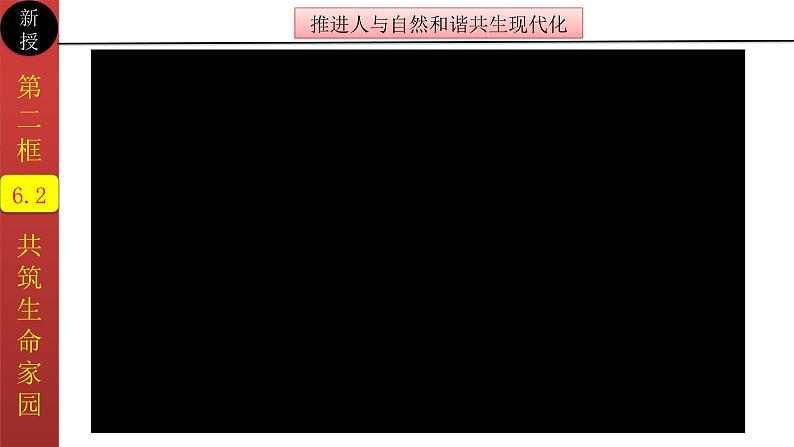 2023年秋部编道法九上：6.2共筑生命家园课件04