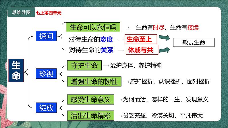 第四单元 生命的思考  复习课件 -2023-2024学年道德与法治七年级上册03