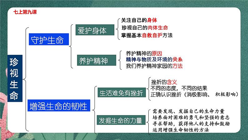 第四单元 生命的思考  复习课件 -2023-2024学年道德与法治七年级上册05