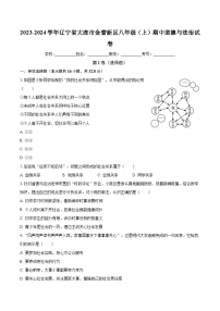 辽宁省大连市金普新区2023-2024学年八年级上学期期中道德与法治试卷