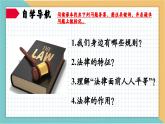 9.2法律保障生活（含视频）-【高效课堂】2022-2023学年七年级道德与法治下册示范课件（2022新课标）