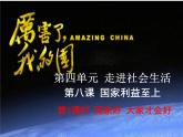 8.1 国家好 大家才会好 课件   2023-2024学年部编版道德与法治八年级上册