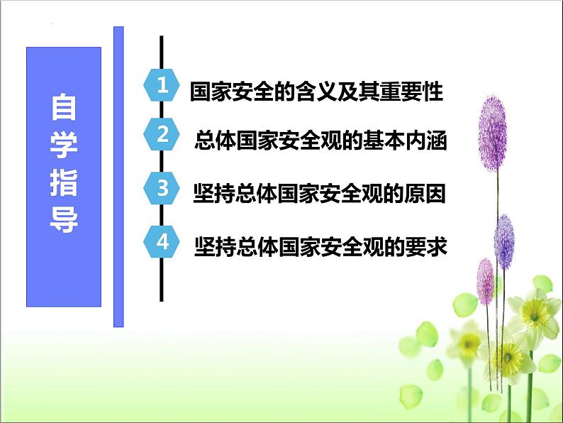 核心素养---9.1认识总体国家安全观（课件）2023-2024学年八年级道德与法治上册 （部编版）第4页