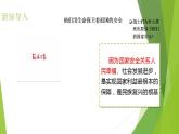 9.1 认识总体国家安全观 课件 2023-2024学年部编版道德与法治八年级上册