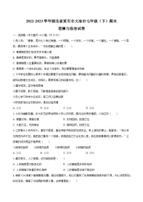 2022-2023学年湖北省黄石市大冶市七年级（下）期末道德与法治试卷（含解析）