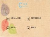 部编版道德与法治九年级上册 6.1正视发展挑战 课件