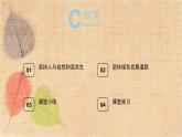 部编版道德与法治九年级上册 6.2共筑生命家园 课件