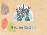 部编版道德与法治九年级上册 6.2共筑生命家园 课件