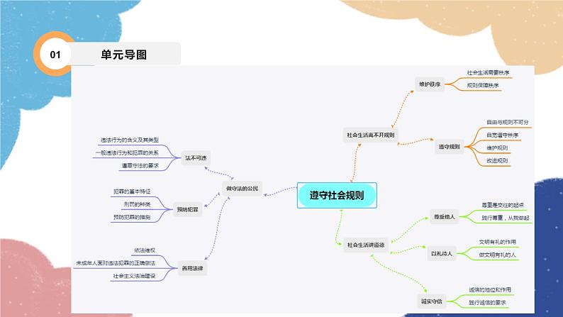 部编版道德与法治八年级上册 专题二 遵守社会规则课件第3页