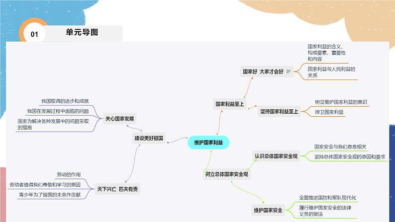 部编版道德与法治八年级上册 专题四 维护国家利益课件03