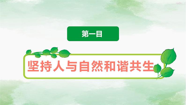 6.2 共筑生命家园-2023-2024学年九年级道德与法治上册同步精品课件（部编版）03