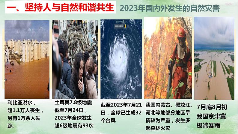 6.2 共筑生命家园-2023-2024学年九年级道德与法治上册同步精品课件（部编版）04