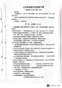 山东省泰安市岱岳区2023-2024学年(五四学制)七年级上学期11月期中道德与法治试题