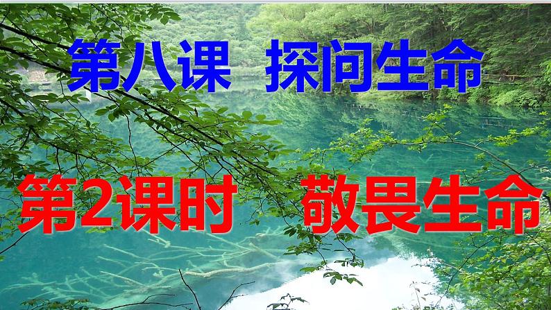 道德与法治七年级上册 8.2 敬畏生命课件06