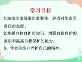 道德与法治七年级上册 9.1守护生命  课件