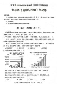 河南省灵宝市2023-2024学年九年级上学期11月期中道德与法治试题