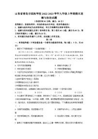 山东省青岛市滨海学校2022-2023学年九年级上学期期末道德与法治试题